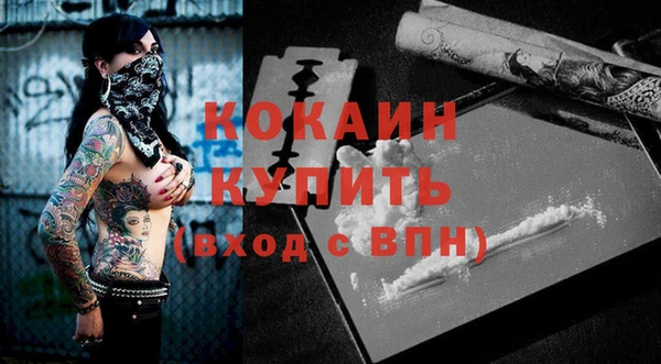 кокс Вяземский