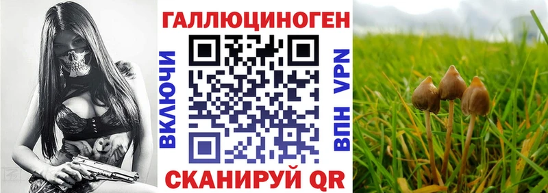 Псилоцибиновые грибы мицелий  Сковородино 